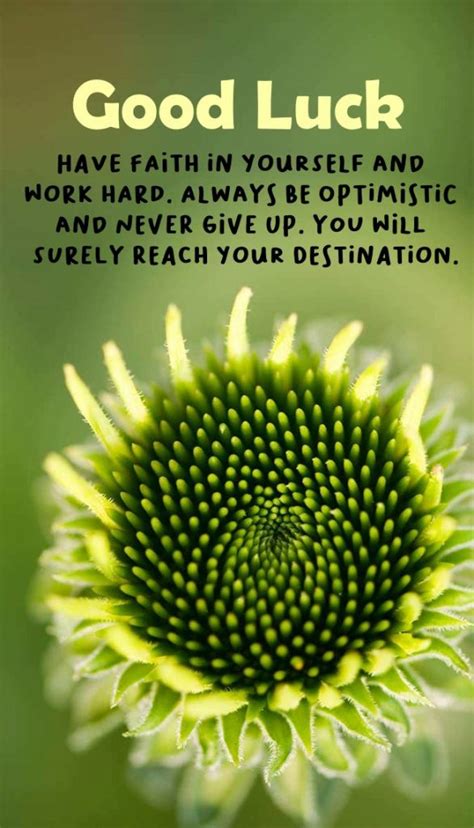 good luck message for charity walk|inspirational good luck messages.